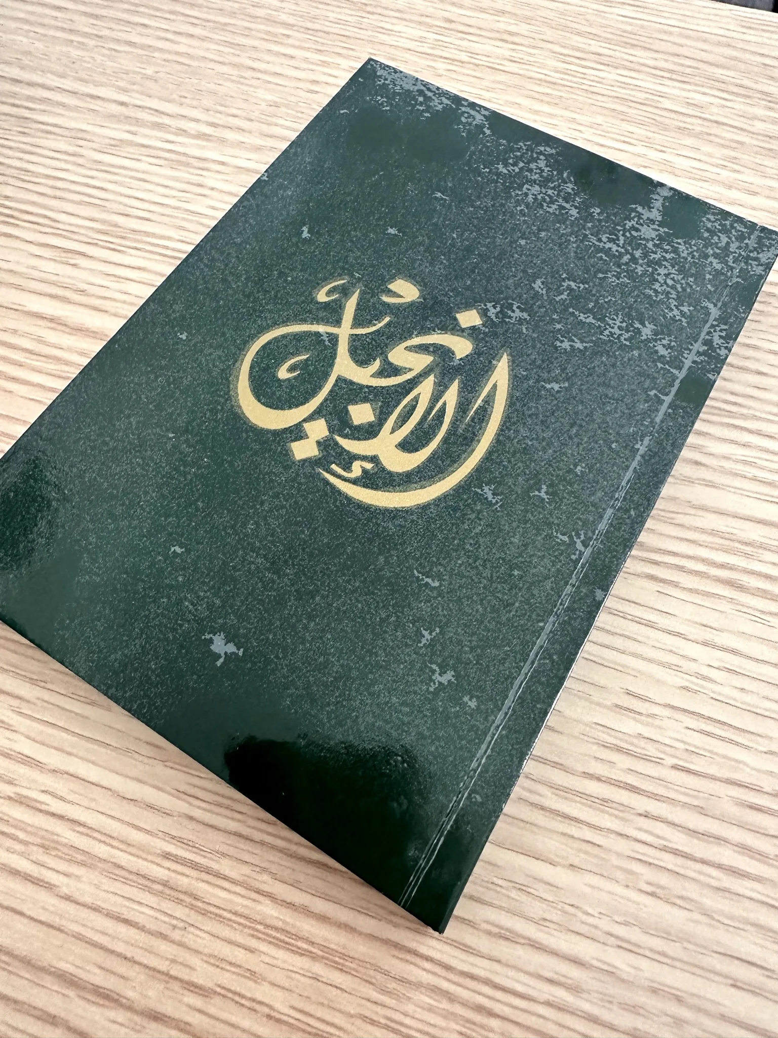 Pioneering a Church Planting Movement in the Arab World