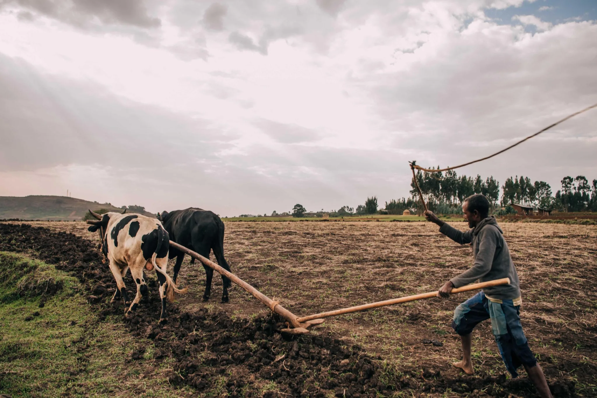 Bringing Gospel Access to Unreached Cities and Villages Across Africa